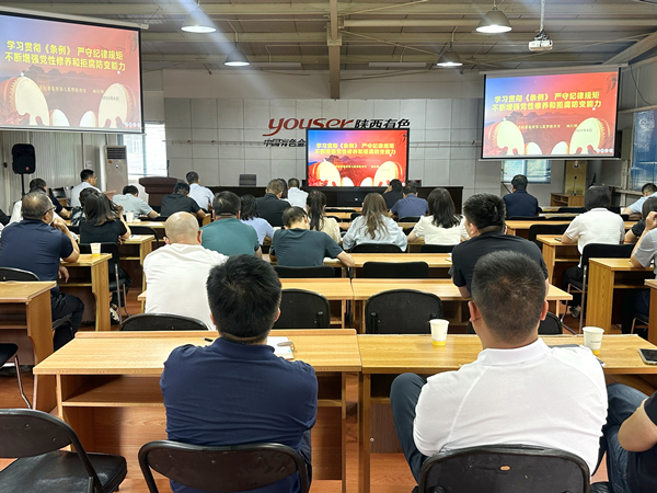 以案為鑒 警鐘長鳴｜公司紀(jì)委組織開展黨紀(jì)學(xué)習(xí)教育警示教育會(huì)